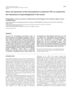 TIF1(beta) in spermatogenesis - Development