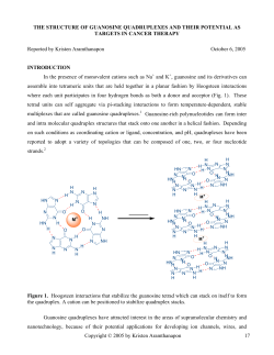 The Structure of Guanosine Quadruplexes and their Potential as