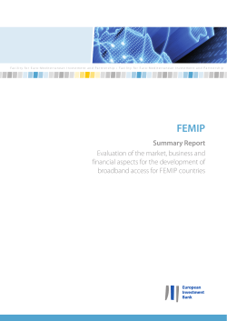 Summary Report EVALUATION OF THE MARKET, BUSINESS AND