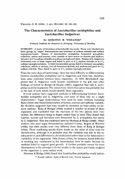 The Characteristics of Lactobacillus acidophilus and