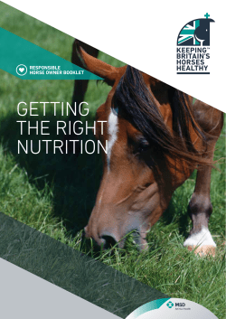 getting the right nutrition - Keeping Britains Horses Healthy