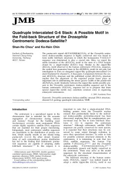 Quadruple Intercalated G-6 Stack: A Possible Motif in the Fold