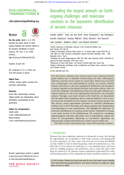 Barcoding the largest animals on Earth: ongoing challenges and