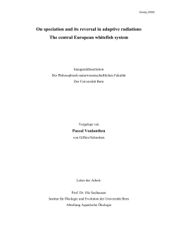 On speciation and its reversal in adaptive radiations The