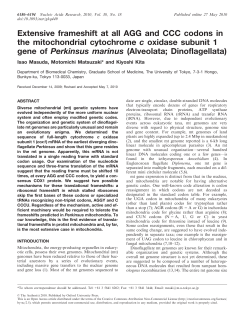 Extensive frameshift at all AGG and CCC codons