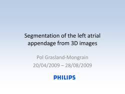 Segmentation of the left atrial appendage from 3D images