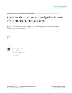 Boundary Singularities on a Wedge