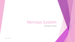 Nervous System - Dentalelle Tutoring