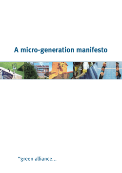 A micro-generation manifesto