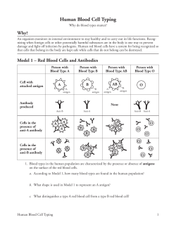 Human Blood Cell Typing