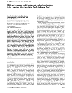 DNA polymerase stabilization at stalled replication forks requires