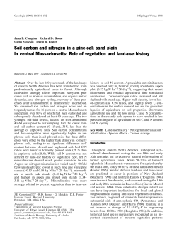 Soil carbon and nitrogen in a pine