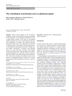 The contribution of prefrontal cortex to global perception