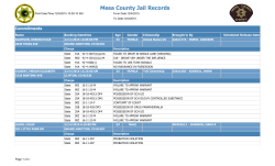 Mesa County Jail Records