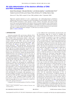 Ab initio determination of the electron affinities of DNA and