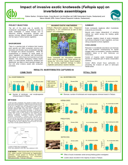 Impact of invasive exotic knotweeds (Fallopia spp)