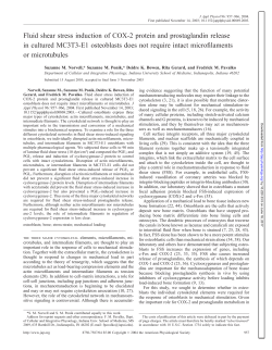 Fluid shear stress induction of COX