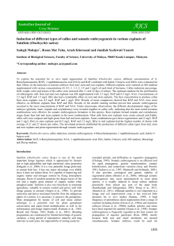 Induction of different types of callus and somatic embryogenesis in