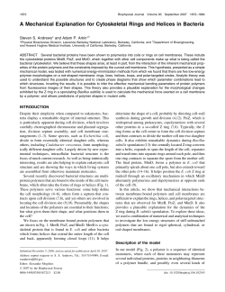 A Mechanical Explanation for Cytoskeletal Rings and