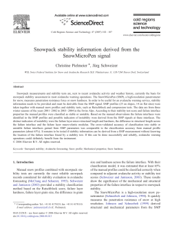 Snowpack stability information derived from the SnowMicroPen signal