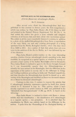 (Cervus (Rucervus) schornburgki (Biyth), After se\&middot;cml notes about