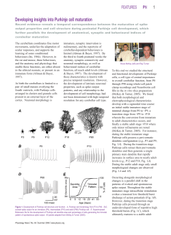 Developing insights into Purkinje cell maturation