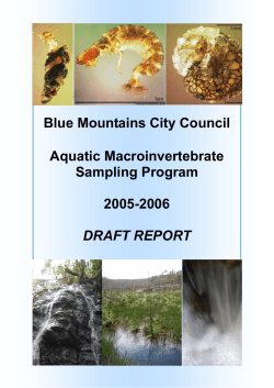 2006 Macroinvertebrate Survey Report ( 2119.8kb)