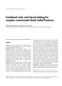 Combined volar and dorsal plating for complex