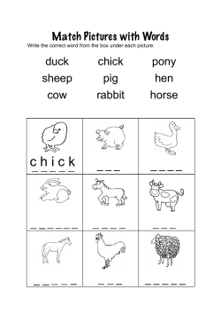 Match the words and pictures