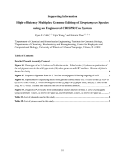 High-efficiency Multiplex Genome Editing of