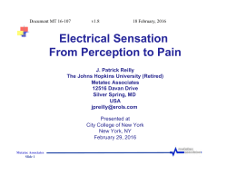 CCNY-1 Sensation MT 16