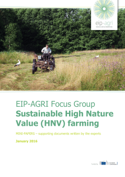 Mini-papers - European Commission