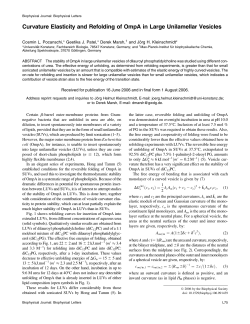 PDF - membrane protein folding