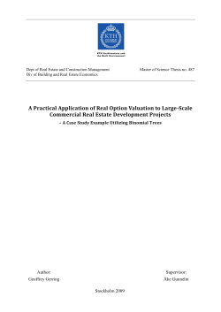A Practical Application of Real Option Valuation to Large