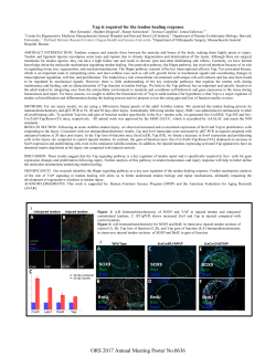 D A B C E F A B C D ORS 2017 Annual Meeting Poster No.0636