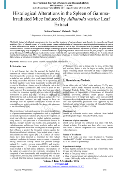 Histological Alterations in the Spleen of Gamma