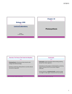 Photosynthesis - HCC Learning Web