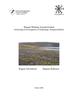 Basque Whaling Around Iceland Ragnar Edvardsson Magn&uacute;s