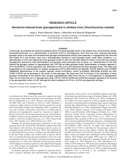 Serotonin-induced brain glycogenolysis in rainbow trout