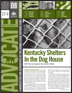 Kentucky shelters in the Dog house