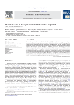 Dual localization of plant glutamate receptor AtGLR3.4 to