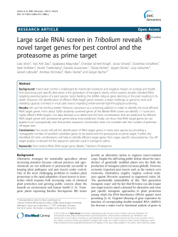 Large scale RNAi screen in Tribolium reveals novel target
