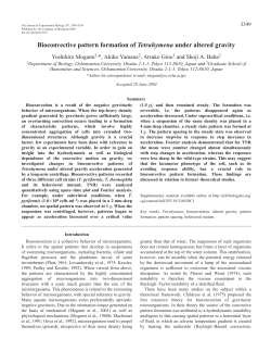 Bioconvective pattern formation of Tetrahymena under altered gravity