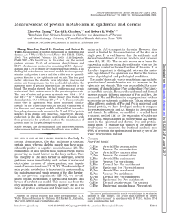 Measurement of protein metabolism in epidermis and dermis