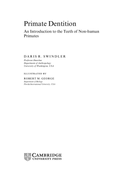 Primate Dentition - Assets - Cambridge University Press
