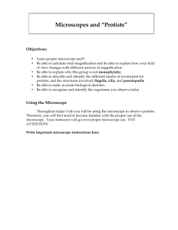 Microscopes and &ldquo;Protists&rdquo;