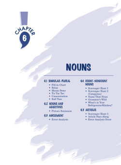 6.1 SINGULAR–PLURAL 6.2 NOUNS AND ADJECTIVES 6.3