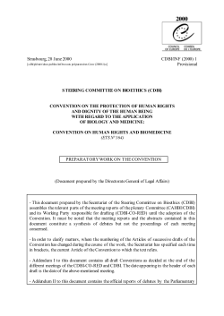 Preparatory work on the Convention