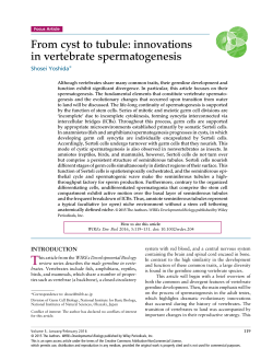 From cyst to tubule: innovations in vertebrate spermatogenesis