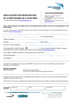 application for registration of a greyhound as a stud sire